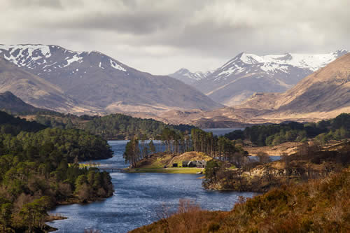 Ancient Caledonian Forest