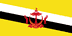 Brunei flag