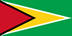 Guyana flag